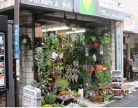 原生花店