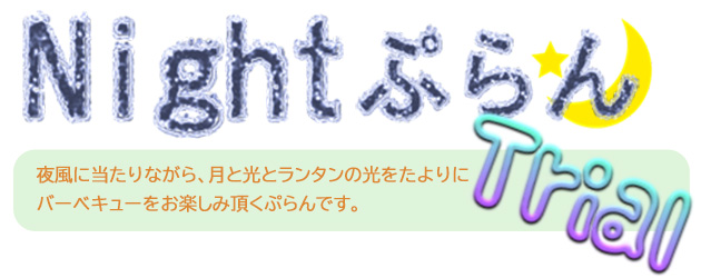 ナイトプラン